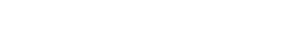 Университет Синергия